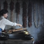 李子柒短视频合集