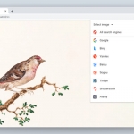 Search by Image 反向图片搜索工具
