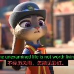 YouTube™ 双字幕优秀浏览器插件