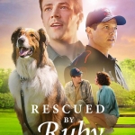 义犬救主 Rescued by Ruby (2022) HD1080P 英语中字 #Netflix  云盘下载