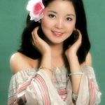 邓丽君 195首歌曲 WMA音源 云盘下载