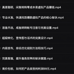 闲鱼转转卖虚拟产品：月赚5000+