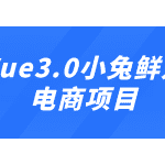 Vue3.0 小兔鲜企业级电商项目实战