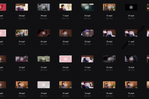 李银河相关系列视频