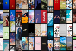 一个纯净无广告的手机壁纸网站——壁纸湖