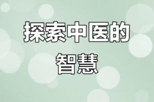中医基础理论 64G 夸克网盘资源下载